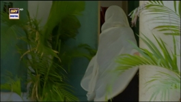 Pal Do Pal - Episode 82 - 12th November 2025